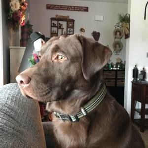 Meet your Posher, Mike